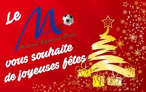 BONNES FÊTES DE FIN D'ANNÉE