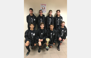 Tournoi Mozaic la Roche sur Yon