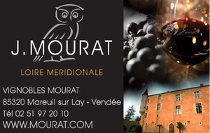 LE MSC FETE SES 25 ANS!!!