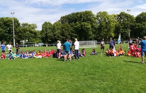 5b20cb31337db_IMG20180609164219.jpg