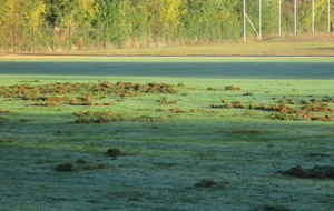 5bb7639ec6d3c_IMG23921.JPG
