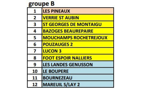Groupes D1-D2-D3 : saison 2014/2015