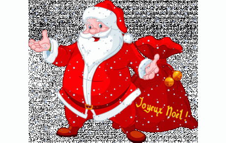 Joyeuses fêtes de fin d'année 2015