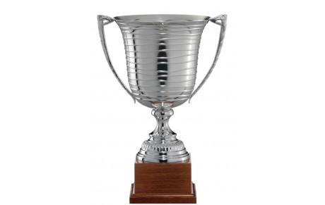 1/4 coupe de Vendée U15