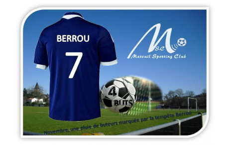 BUTEURS DU MOIS DE NOVEMBRE