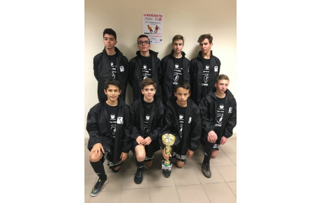 Tournoi Mozaic la Roche sur Yon