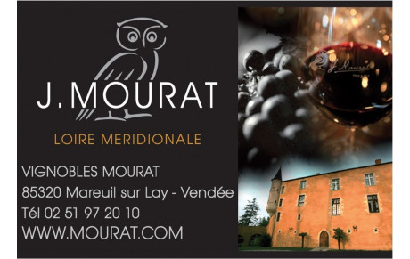 LE MSC FETE SES 25 ANS!!!