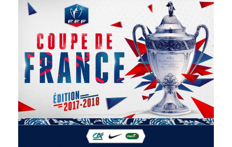 CARTON PLEIN EN COUPES