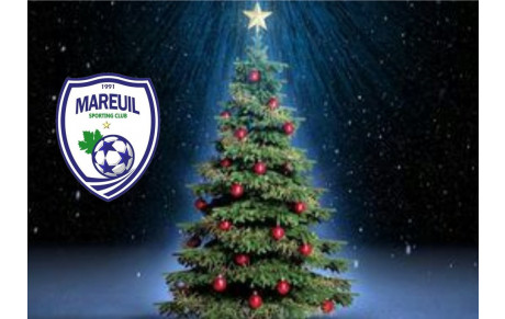 ARBRE DE NOËL DU MSC